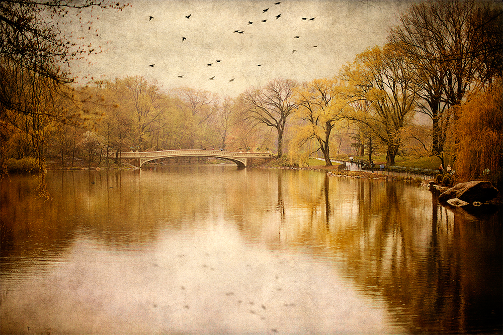 Bowbridge3