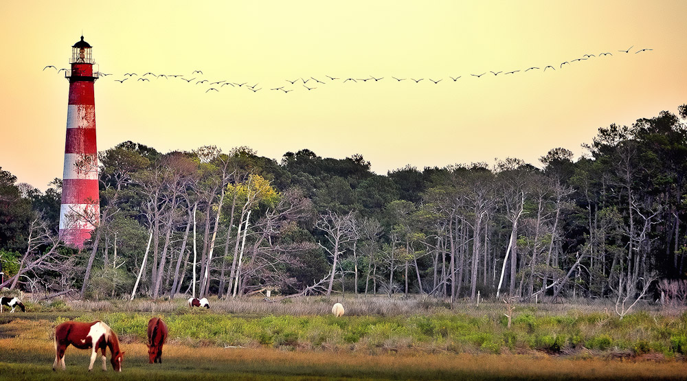 Assateaguelight