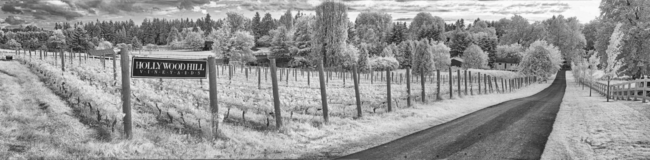 Hollywoodhill IR pano