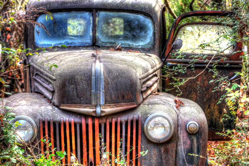 AW7A0197 8 9 tonemapped