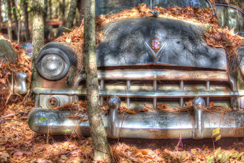 AW7A0415 6 7 tonemapped
