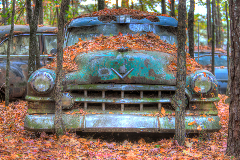 AW7A9327 8 9 tonemapped