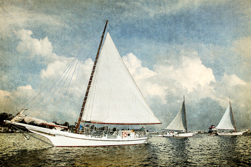 Skipjack race