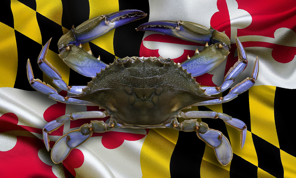 Waving Flag of Maryland State crab