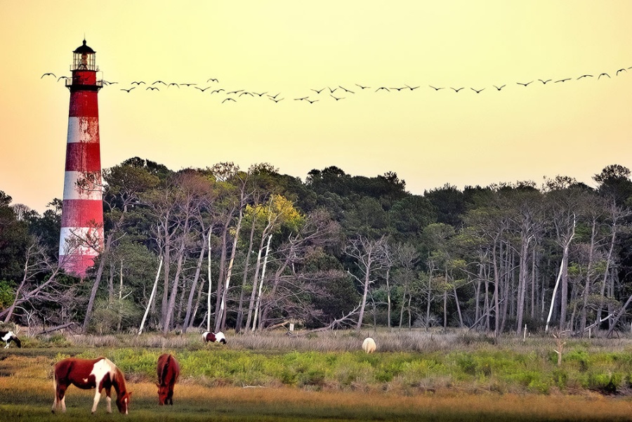 AssateagueLight