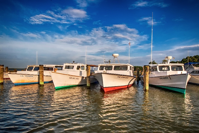 Nevittboats
