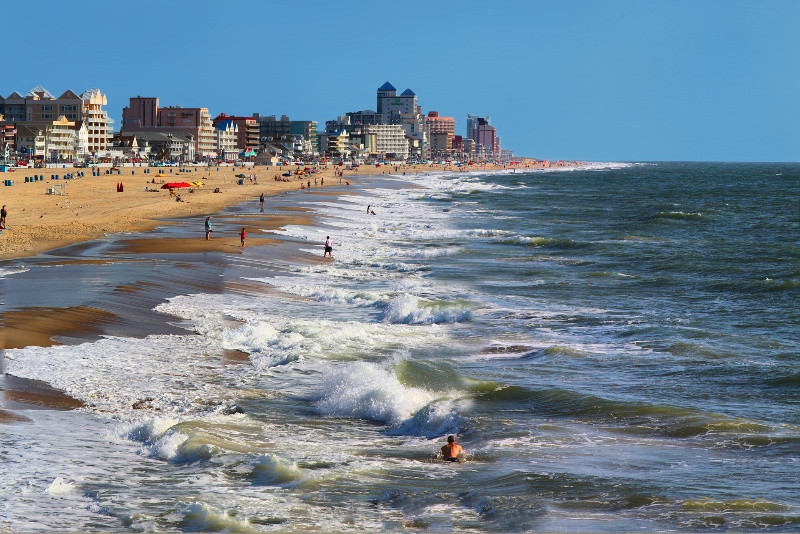 OCMD