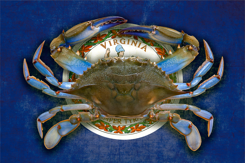 VA crab