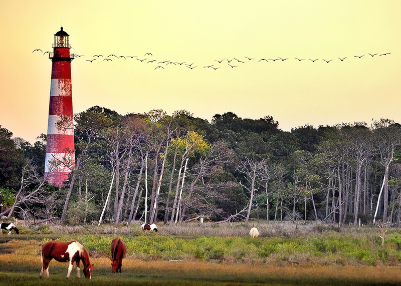 Assateague light