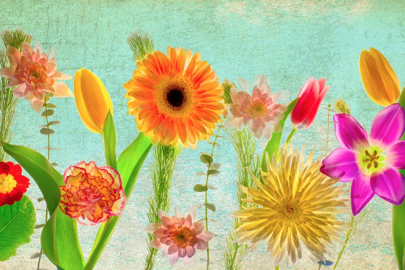Flowers1