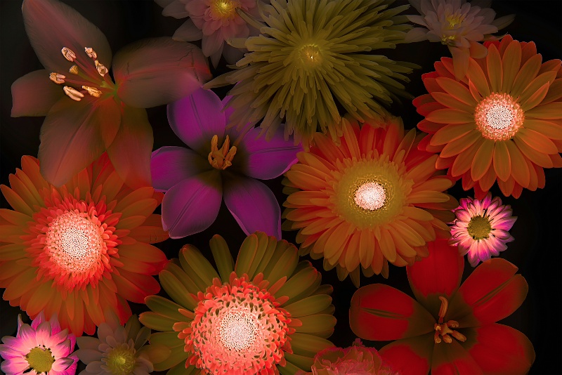 Flowers2