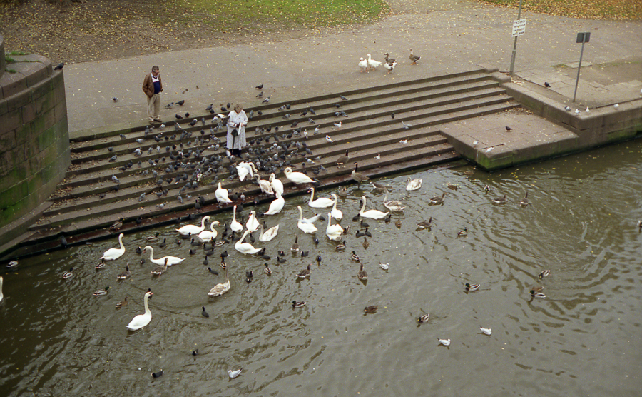 Roll2 56