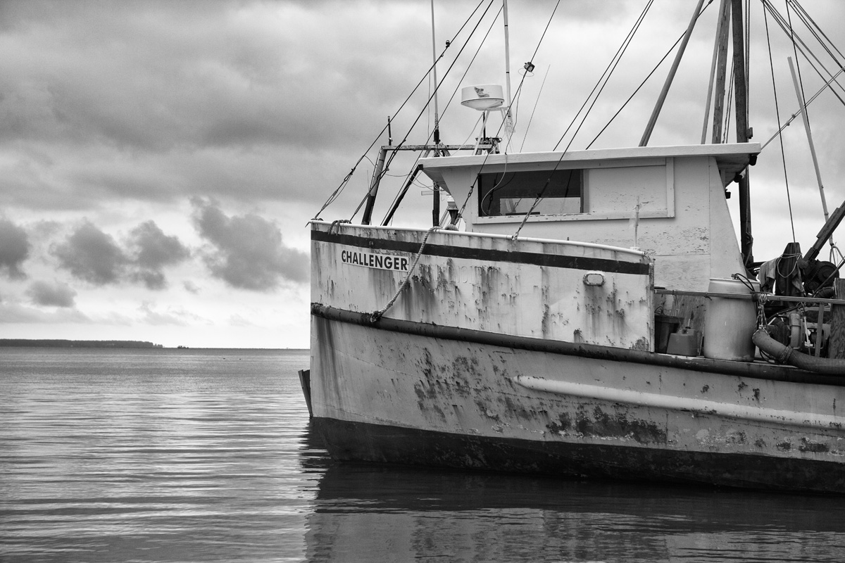 Seascapes