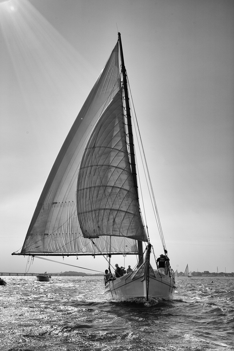 IMG 0176